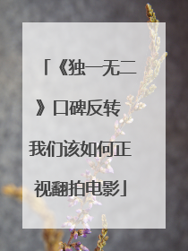 《独一无二》口碑反转 我们该如何正视翻拍电影