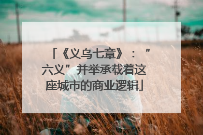 《义乌七章》：“六义”并举承载着这座城市的商业逻辑
