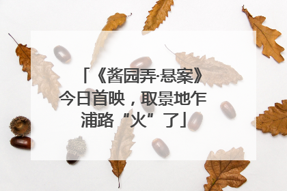 《酱园弄·悬案》今日首映，取景地乍浦路“火”了