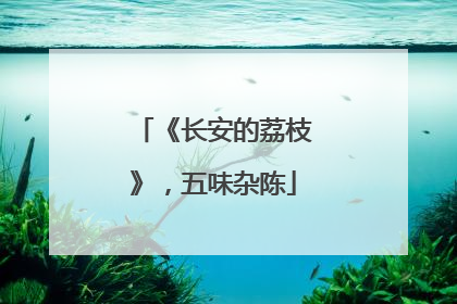 《长安的荔枝》，五味杂陈