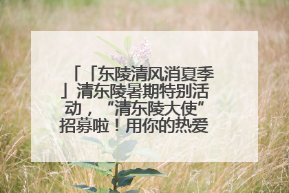 「东陵清风消夏季」清东陵暑期特别活动，“清东陵大使”招募啦！用你的热爱守护世界遗产！