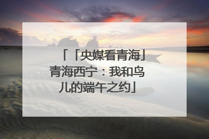「央媒看青海」青海西宁：我和鸟儿的端午之约