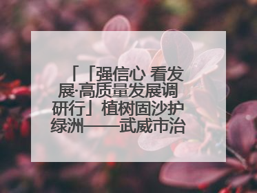 「强信心 看发展·高质量发展调研行」植树固沙护绿洲——武威市治沙造林筑牢生态安全屏障见闻