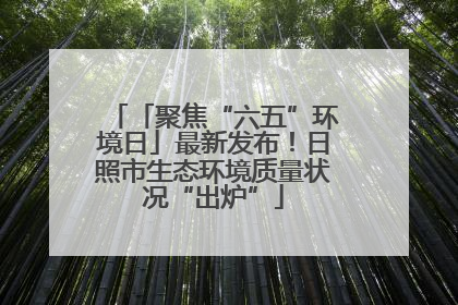 「聚焦“六五”环境日」最新发布！日照市生态环境质量状况“出炉”