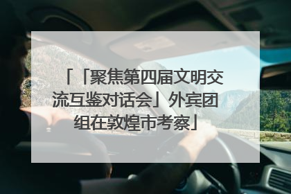 「聚焦第四届文明交流互鉴对话会」外宾团组在敦煌市考察