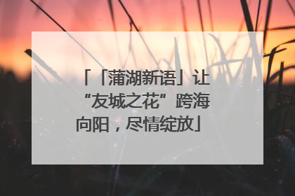 「蒲湖新语」让“友城之花”跨海向阳，尽情绽放