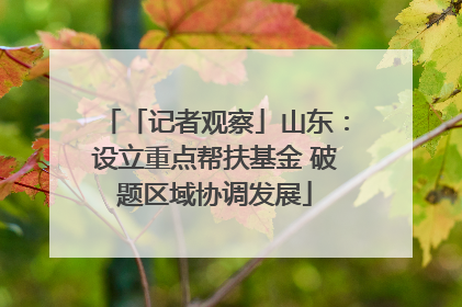 「记者观察」山东：设立重点帮扶基金 破题区域协调发展