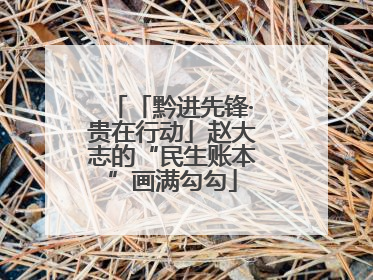 「黔进先锋·贵在行动」赵大志的“民生账本”画满勾勾