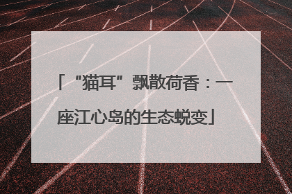 “猫耳”飘散荷香：一座江心岛的生态蜕变