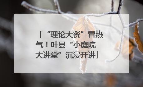 “理论大餐”冒热气！叶县“小庭院 大讲堂”沉浸开讲
