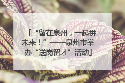 “留在泉州，一起拼未来！”——泉州市举办“送岗留才”活动