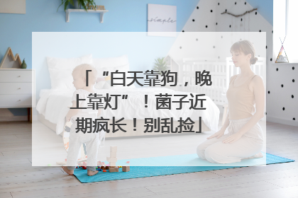 “白天靠狗，晚上靠灯”！菌子近期疯长！别乱捡