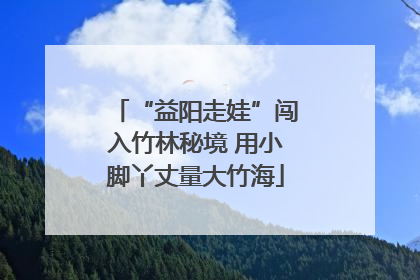 “益阳走娃”闯入竹林秘境 用小脚丫丈量大竹海