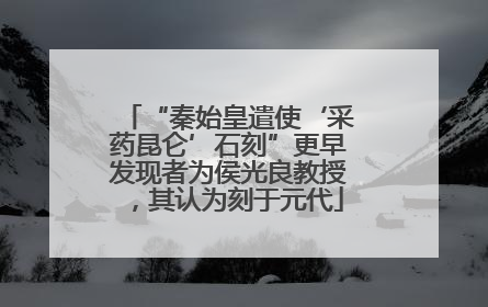 “秦始皇遣使‘采药昆仑’石刻”更早发现者为侯光良教授，其认为刻于元代