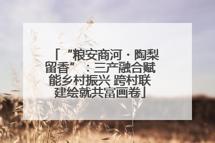 “粮安商河・陶梨留香”：三产融合赋能乡村振兴 跨村联建绘就共富画卷