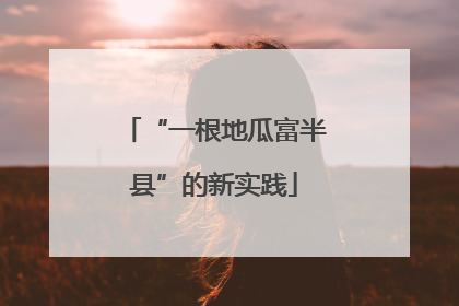 “一根地瓜富半县”的新实践