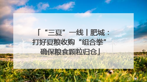 “三夏”一线丨肥城：打好夏粮收购“组合拳” 确保粮食颗粒归仓