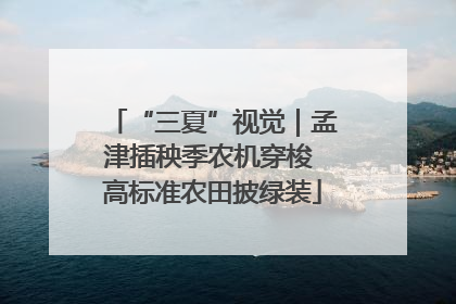 “三夏”视觉｜孟津插秧季农机穿梭 高标准农田披绿装