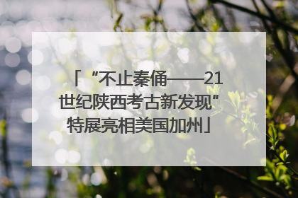 “不止秦俑——21世纪陕西考古新发现”特展亮相美国加州