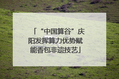 “中国算谷”庆阳发挥算力优势赋能香包非遗技艺