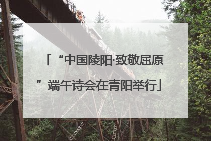 “中国陵阳·致敬屈原”端午诗会在青阳举行