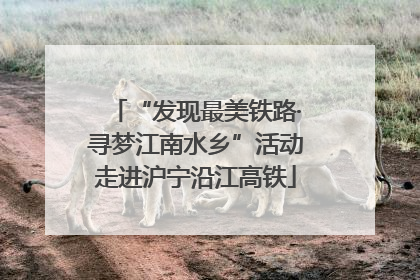 “发现最美铁路·寻梦江南水乡”活动走进沪宁沿江高铁