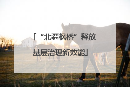 “北疆枫桥”释放基层治理新效能