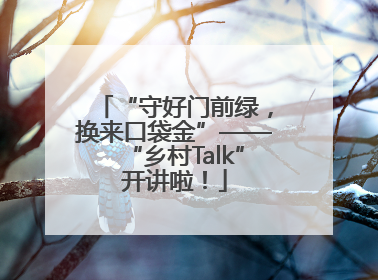 “守好门前绿，换来口袋金”——“乡村Talk”开讲啦！