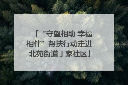 “守望相助 幸福相伴”帮扶行动走进北苑街道丁家社区