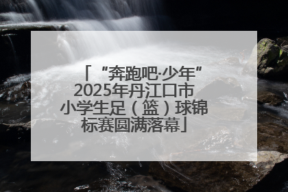 “奔跑吧·少年”2025年丹江口市小学生足（篮）球锦标赛圆满落幕