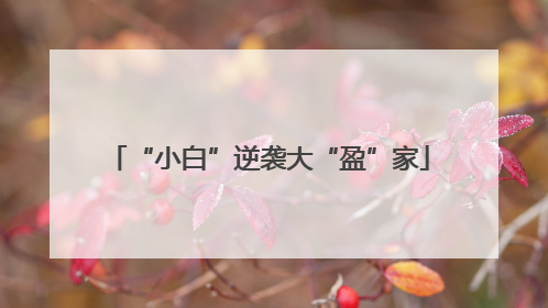 “小白”逆袭大“盈”家