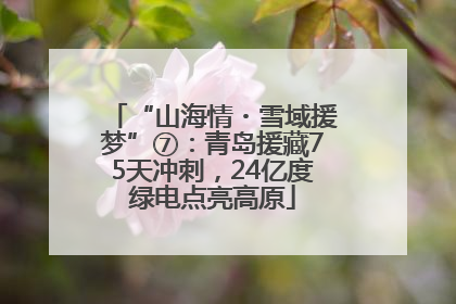 “山海情・雪域援梦”⑦：青岛援藏75天冲刺，24亿度绿电点亮高原