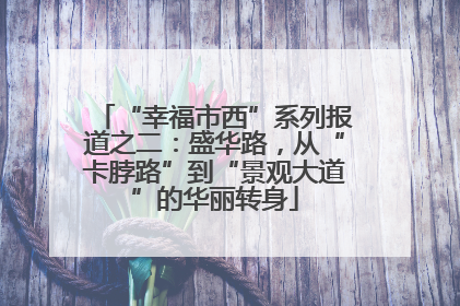 “幸福市西”系列报道之二：盛华路，从“卡脖路”到“景观大道”的华丽转身