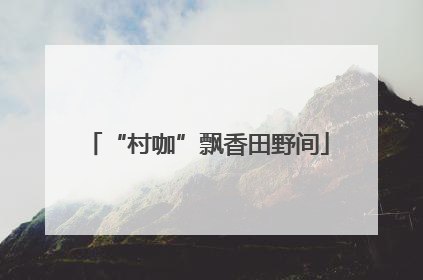 “村咖”飘香田野间