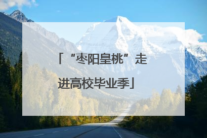 “枣阳皇桃”走进高校毕业季