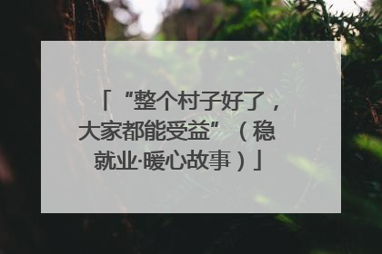 “整个村子好了，大家都能受益”（稳就业·暖心故事）