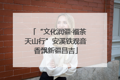 “文化润疆·福茶天山行”安溪铁观音香飘新疆昌吉
