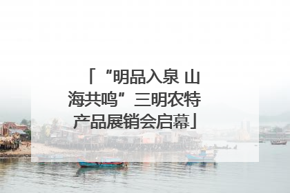 “明品入泉 山海共鸣”三明农特产品展销会启幕
