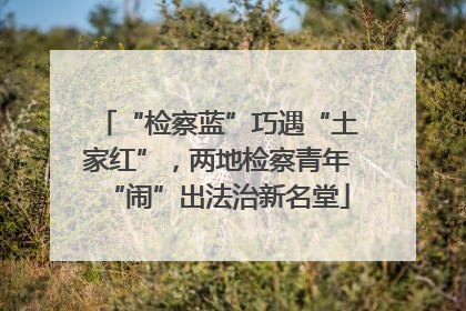 “检察蓝”巧遇“土家红”，两地检察青年“闹”出法治新名堂