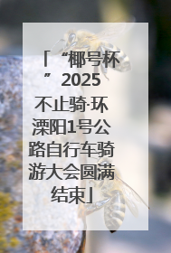 “椰号杯”2025不止骑·环溧阳1号公路自行车骑游大会圆满结束