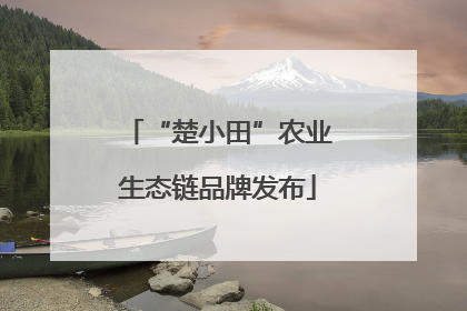 “楚小田”农业生态链品牌发布