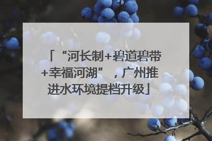 “河长制+碧道碧带+幸福河湖”，广州推进水环境提档升级