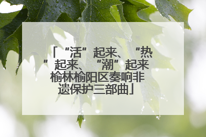 “活”起来、“热”起来、“潮”起来 榆林榆阳区奏响非遗保护三部曲