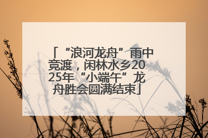 “浪河龙舟”雨中竞渡，闲林水乡2025年“小端午”龙舟胜会圆满结束