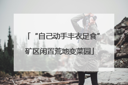 “自己动手丰衣足食”矿区闲置荒地变菜园