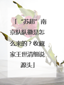 “苏超”南京队队徽是怎么来的？收藏家王世清细说源头