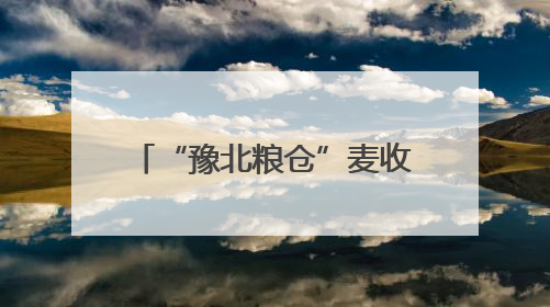 “豫北粮仓”麦收跑出“加速度”