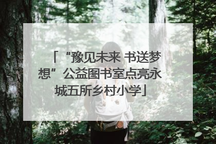 “豫见未来 书送梦想”公益图书室点亮永城五所乡村小学