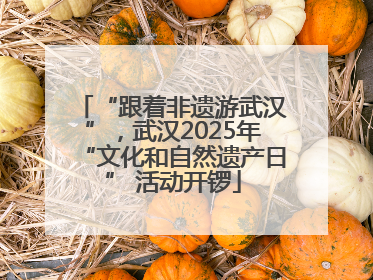 “跟着非遗游武汉”，武汉2025年“文化和自然遗产日” 活动开锣