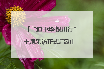“道中华·银川行”主题采访正式启动